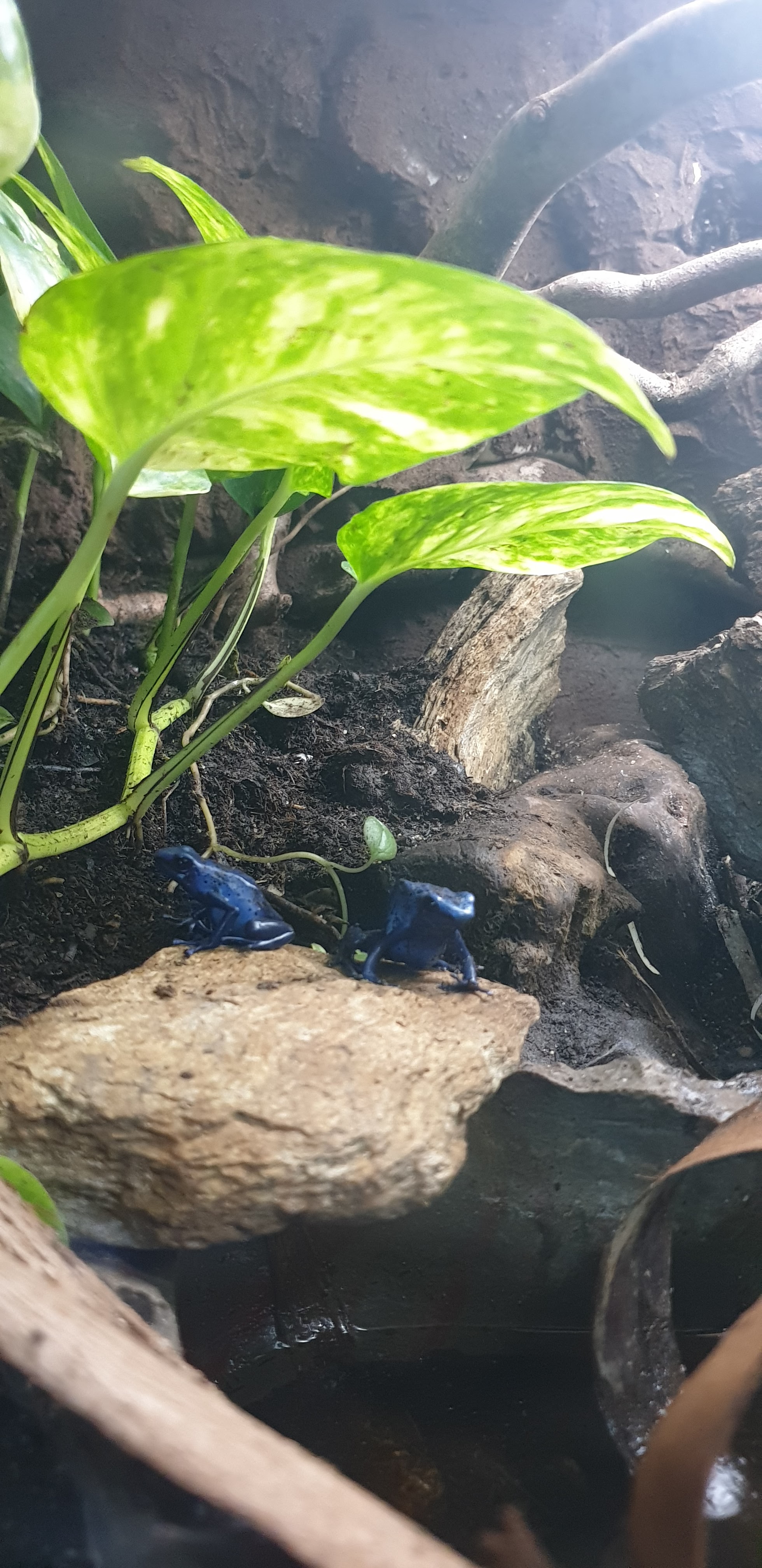 Photo n° 3 de l'avis de Alstéïs. fait le 19/08/2020 à 16:23