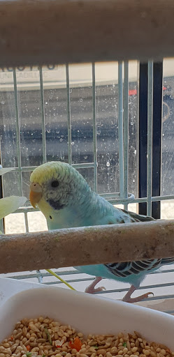 Pet Supply Store «College Greens Pet Center», reviews and photos, 3311 Julliard Dr # A, Sacramento, CA 95826, USA