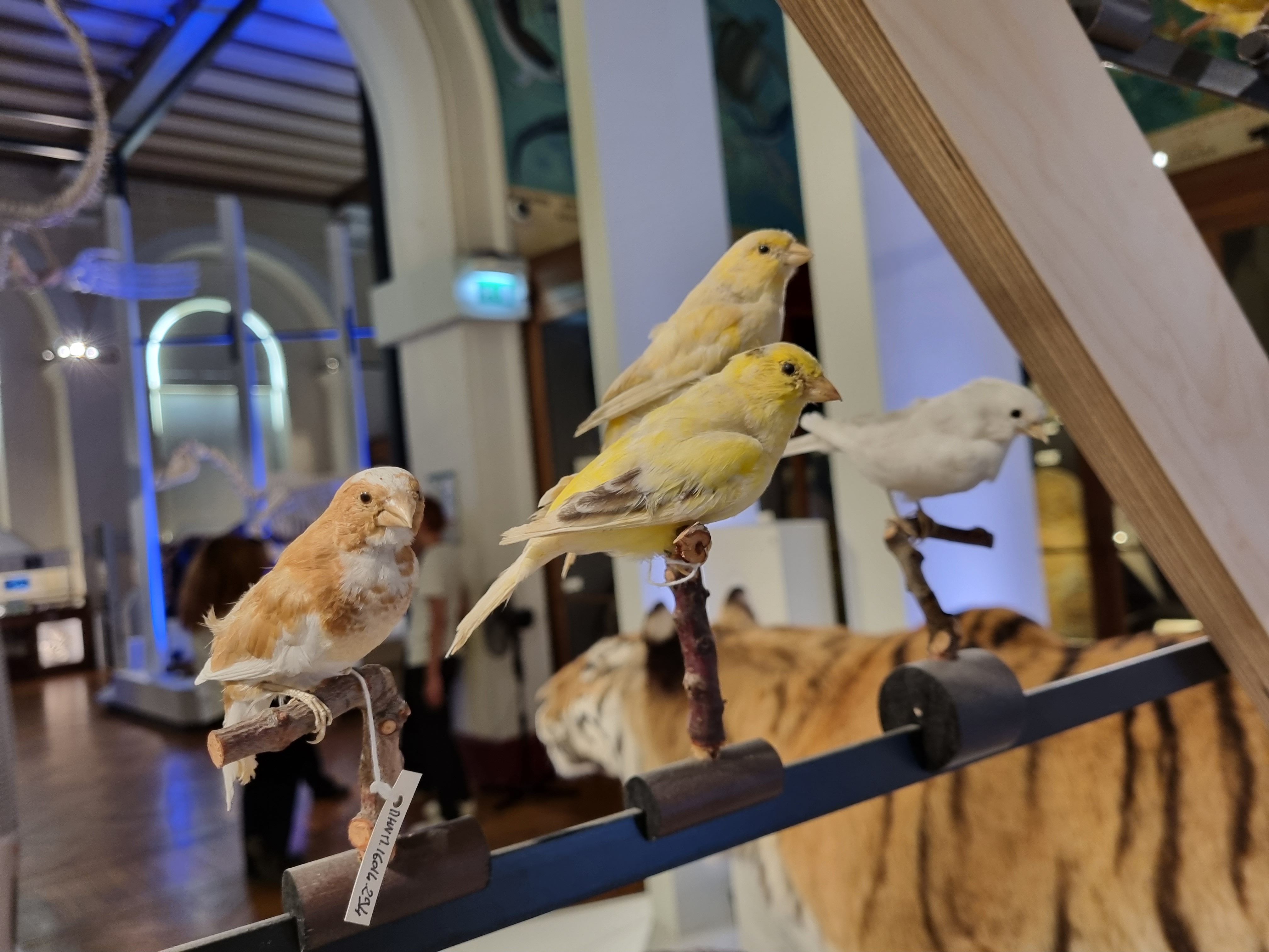 Photo n° 10 de l'avis de Jean-Louis.E fait le 15/08/2023 à 21:58