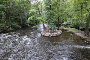 Stephens State Park image