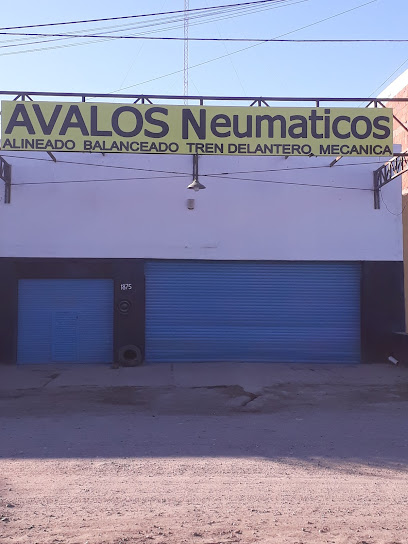 Avalos Neumaticos