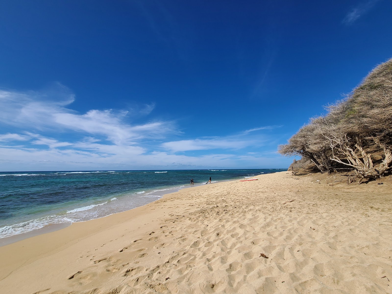 Foto van Diamond Head Beach Park met beige zand en stenen oppervlakte