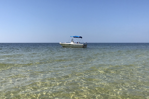 Caloosa River Boat Rental image