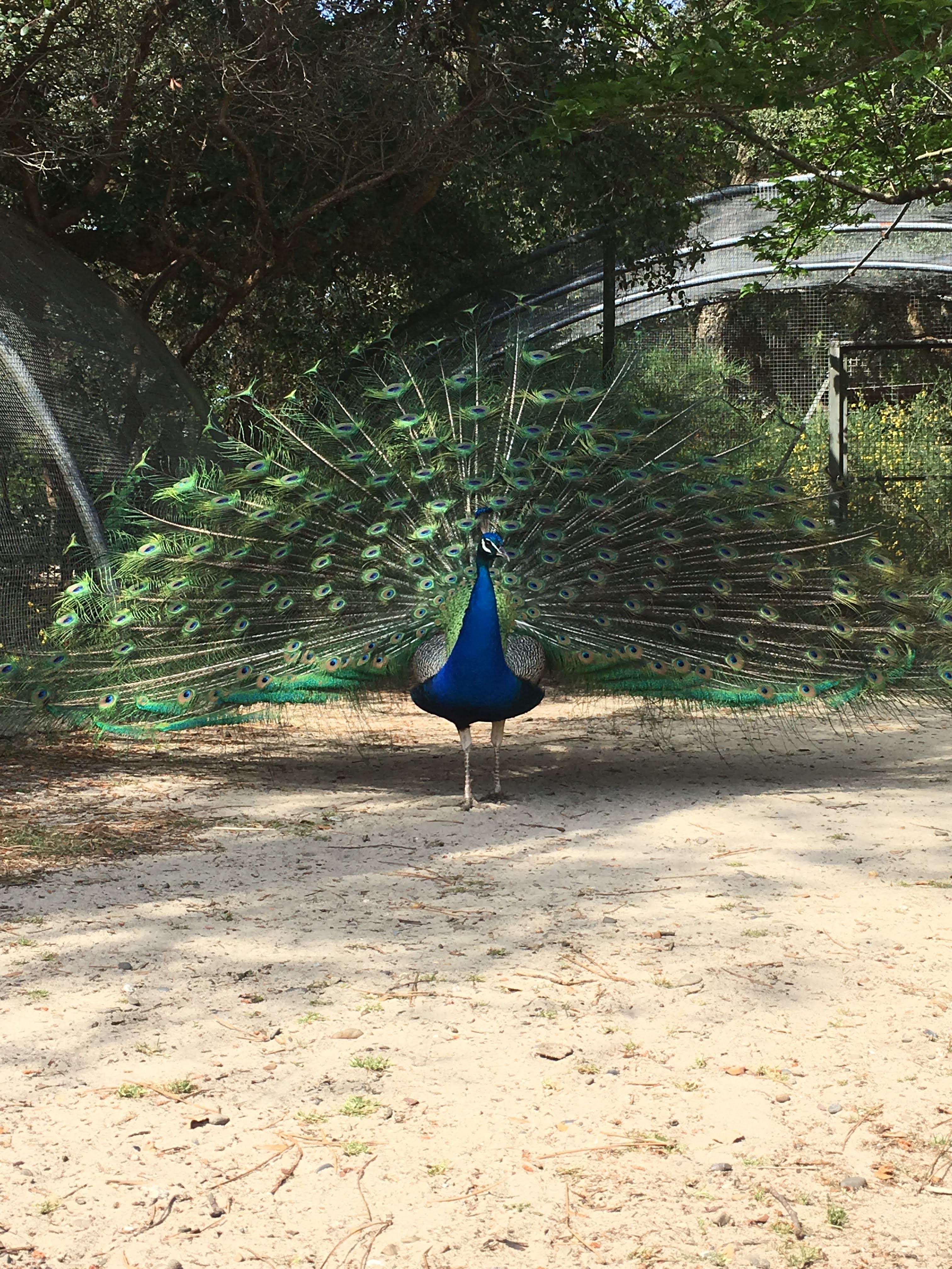 Photo n° 3 de l'avis de Laurine.. fait le 07/05/2019 à 12:12