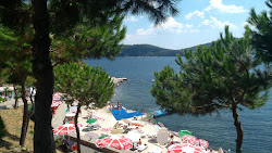 Heybeliada Beach'in fotoğrafı çok temiz temizlik seviyesi ile