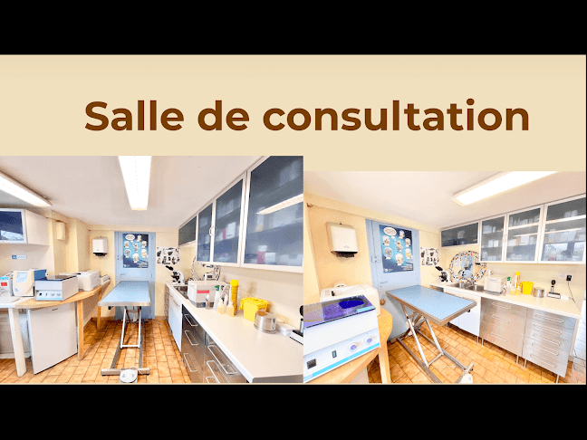 Clinique Vétérinaire d'Ossau - Vétérinaire