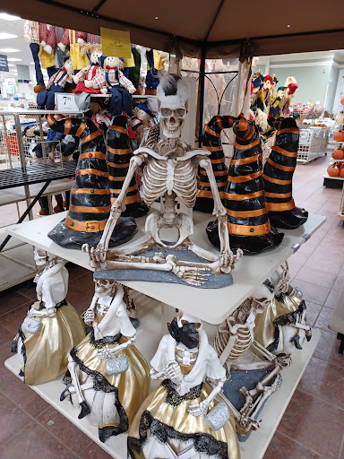 Home Goods Store «Christmas Tree Shops», reviews and photos, 5450 Brandywine Pkwy, Wilmington, DE 19803, USA