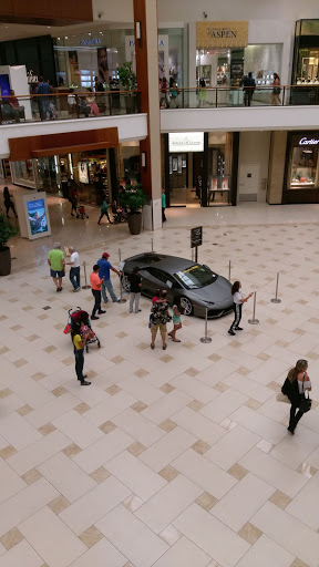 Shopping Mall «Oceanwalk Mall», reviews and photos, 101 N Ocean Dr, Hollywood, FL 33019, USA