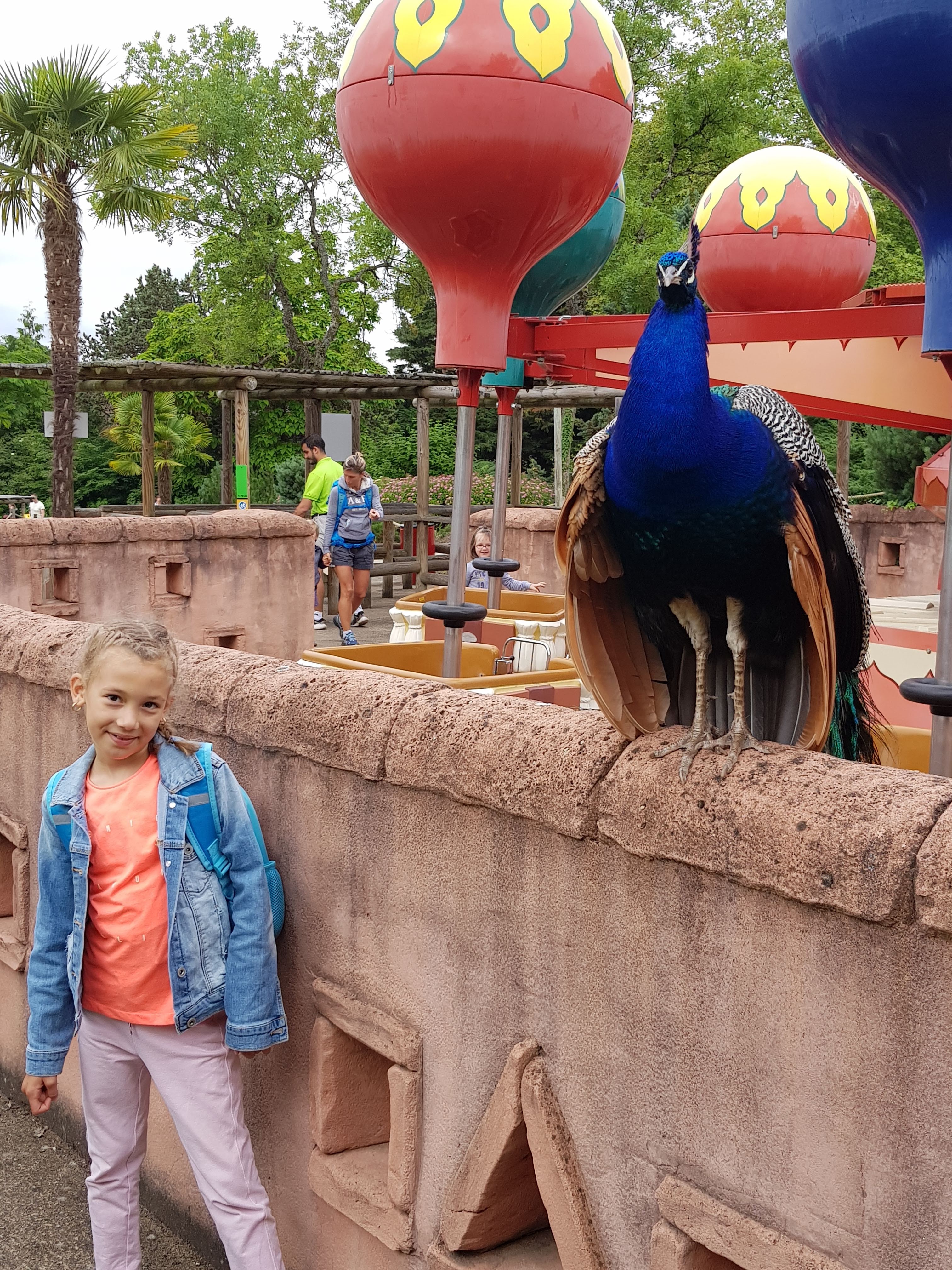 Photo n° 7 de l'avis de Karima.o fait le 06/07/2018 à 06:51