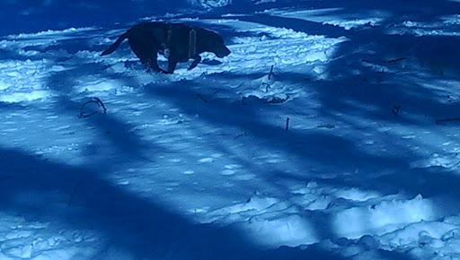 Park «Albert Kelly Park», reviews and photos, SW Dosch Rd & SW Mitchell St, Portland, OR 97239, USA