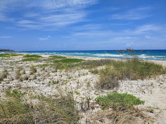 Merrain Rd beach