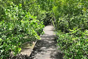 Sky View Tower and Mangrove Research Center image