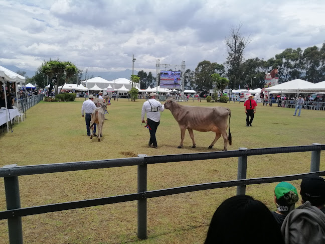 Asociación Holstein Friesian del Ecuador