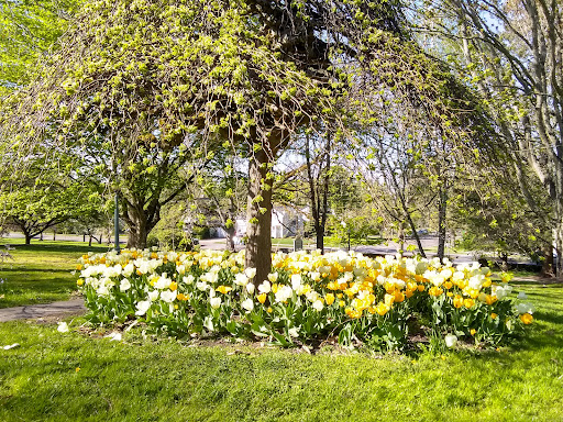 Museum «Deepwood Museum & Gardens», reviews and photos, 1116 Mission St SE, Salem, OR 97302, USA