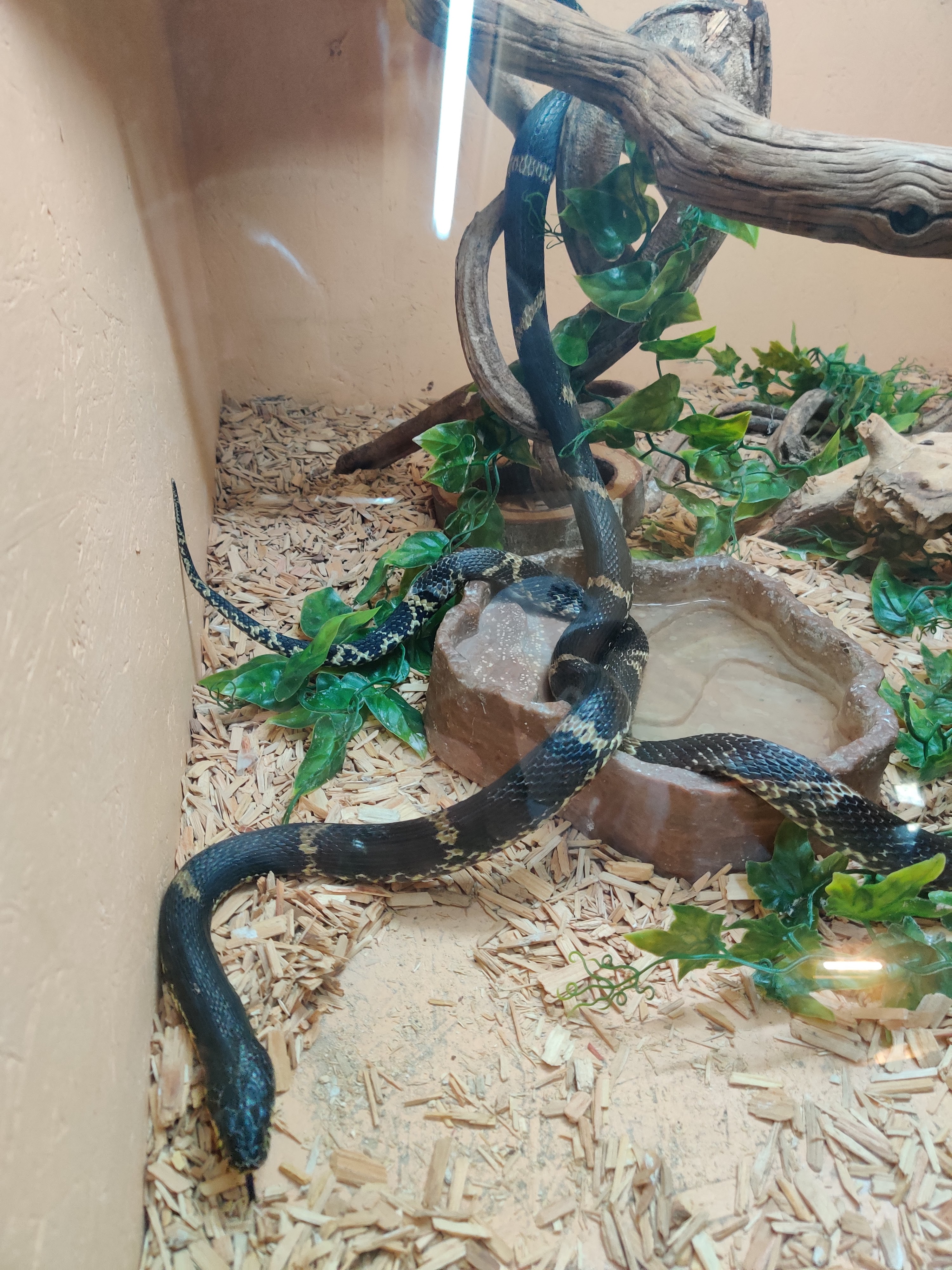 Photo n° 5 de l'avis de christophe.r fait le 09/07/2021 à 14:21