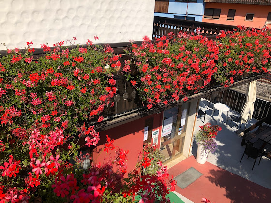 Photos des visiteurs hôtels Albergo Trieste 32010 Tambruz