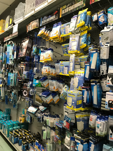 Pet Store «Petland Discounts - Parkchester», reviews and photos, 1949 Westchester Ave, Bronx, NY 10462, USA