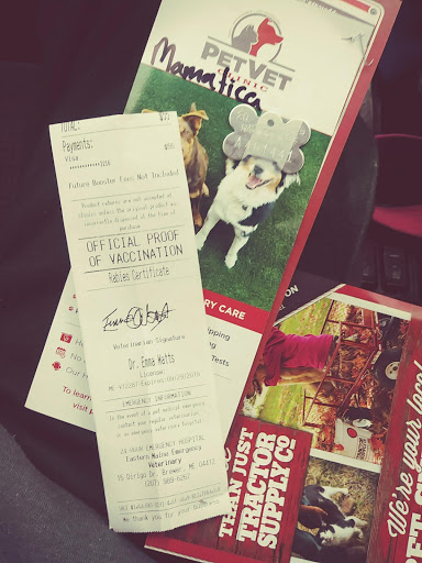 Home Improvement Store «Tractor Supply Co.», reviews and photos, 1161 Broadway, Bangor, ME 04401, USA