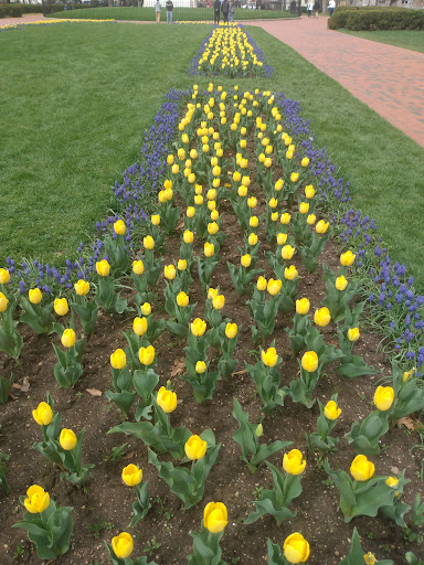 Cigar Shop «W. Curtis Draper Tobacconist», reviews and photos, 699 15th St NW, Washington, DC 20005, USA