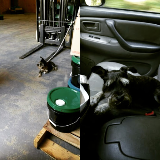 Pharmacy «Rite Aid», reviews and photos, 379 N Main St, Cleveland, GA 30528, USA