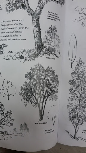 Craft Store «A.C. Moore Arts and Crafts», reviews and photos, 8066 Concord Mills Boulevard, Concord, NC 28027, USA