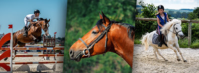 Centre Equestre de l'Aunil à Nanteuil-la-Forêt