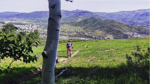 Bicycle Store «Turin Bicycles Ltd», reviews and photos, 700 Lincoln St, Denver, CO 80203, USA