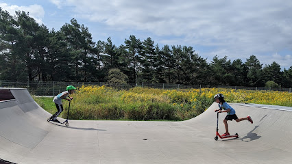 Skatepark - Sherbrooke