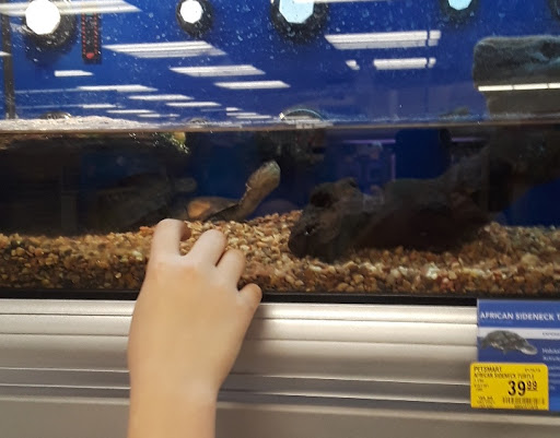 Pet Supply Store «PetSmart», reviews and photos, 2925 Lancaster Dr NE, Salem, OR 97305, USA