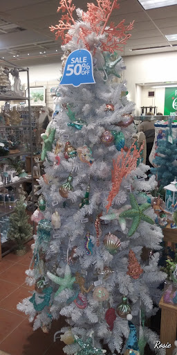 Department Store «Bealls Store», reviews and photos, 12125 US-19, Bayonet Point, FL 34667, USA