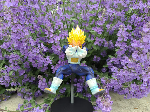 Park «Danehy Park», reviews and photos, 99 Sherman St, Cambridge, MA 02138, USA