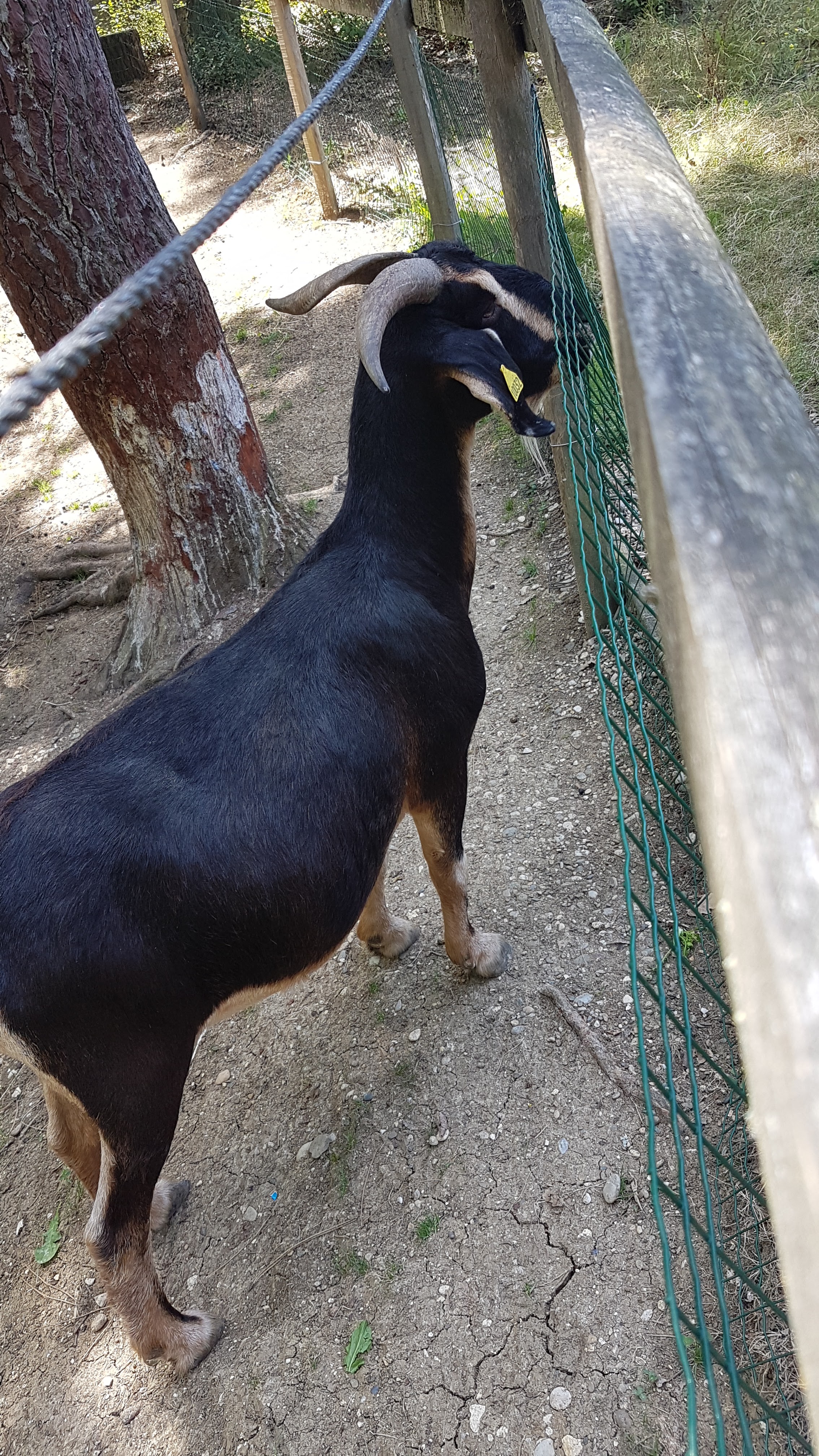 Photo n° 6 de l'avis de Patricia.e fait le 16/08/2019 à 15:31