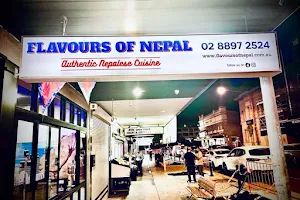Flavours of nepal image