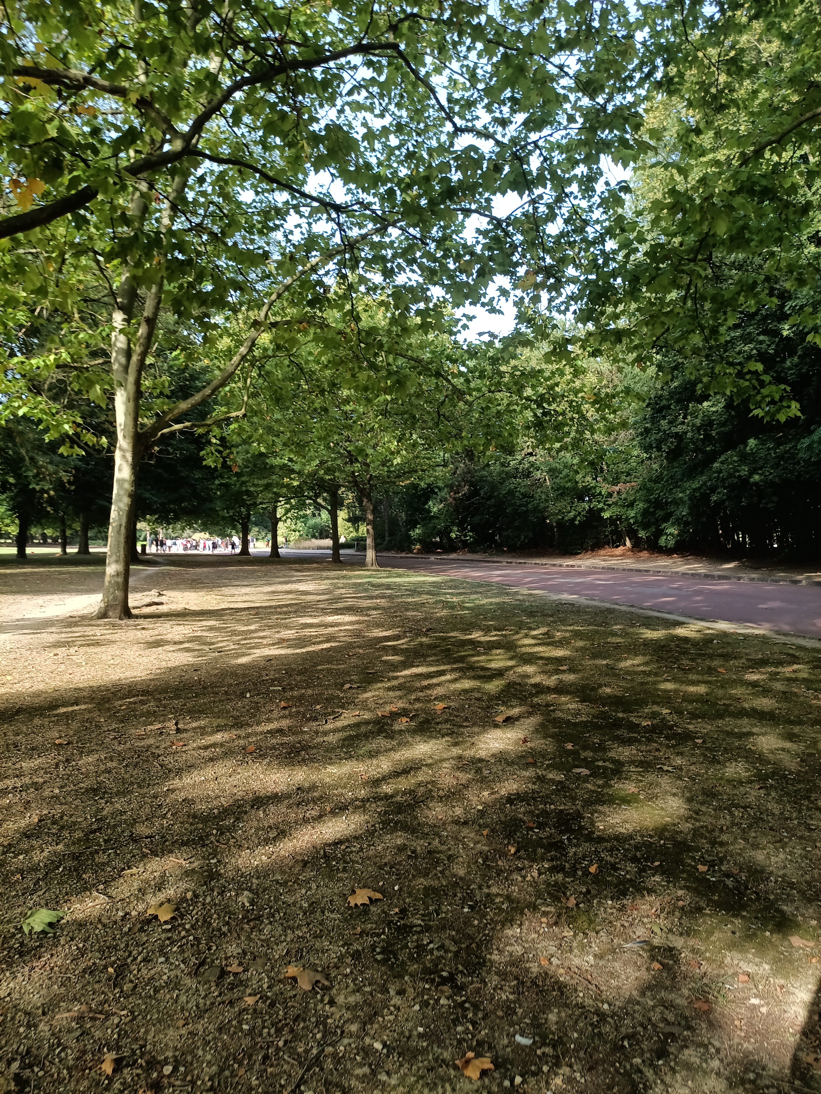 Photo n° 38 de l'avis de ini.e fait le 29/07/2023 à 12:14