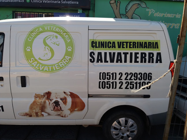 Veterinaria Salvatierra - La Serena