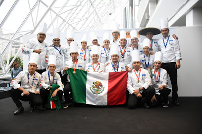 Instituto Culinario De Mexico