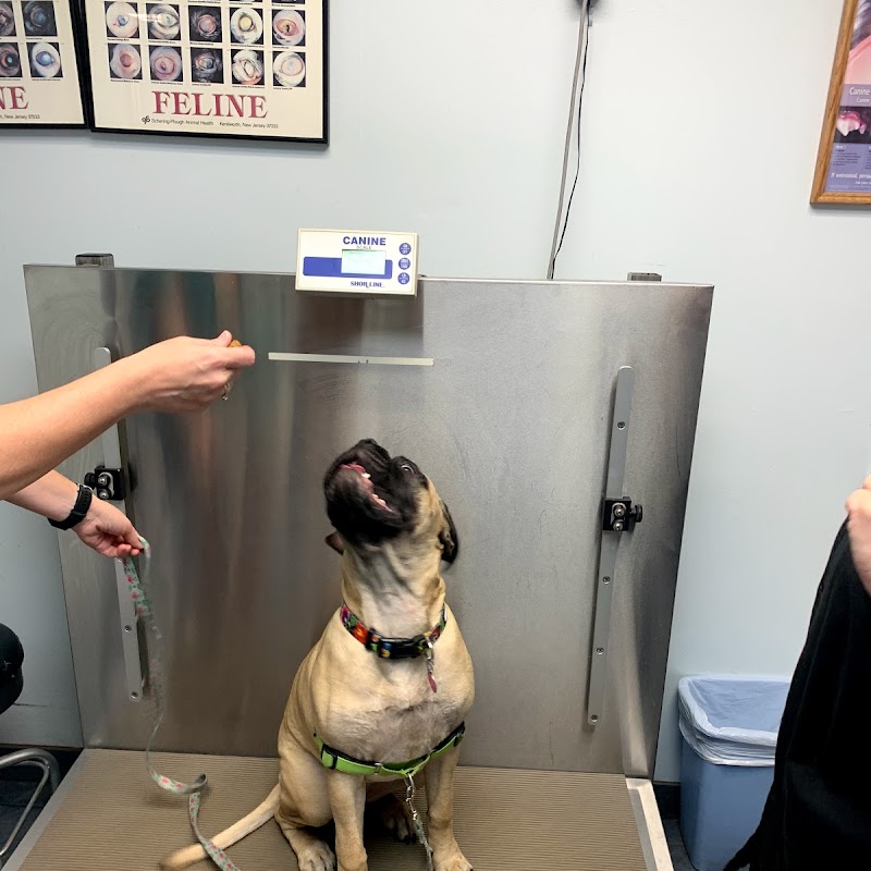 Brentwood Animal Clinic