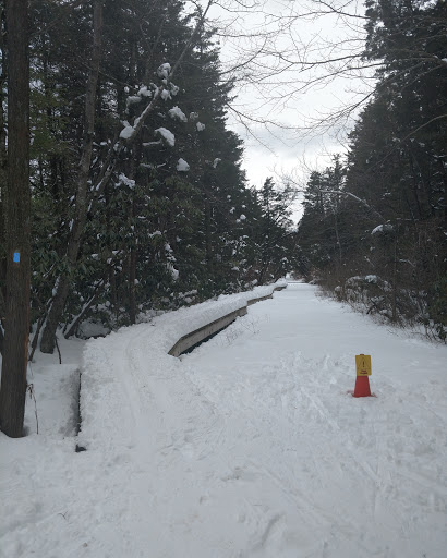 Ski Resort «High Point Cross Country Ski Center», reviews and photos, 1480 NJ-23, Sussex, NJ 07461, USA