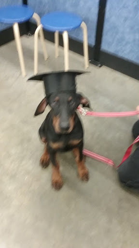 Pet Supply Store «PetSmart», reviews and photos, 5336 Westpointe Plaza Drive, Columbus, OH 43228, USA