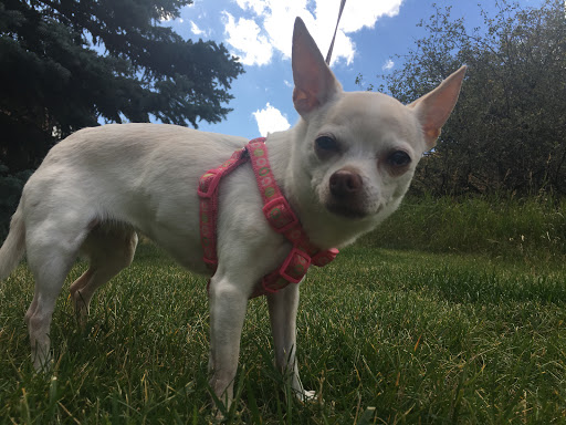 Movie Theater «Park Plaza Cinema», reviews and photos, 33 Office Park Rd #201, Hilton Head Island, SC 29928, USA