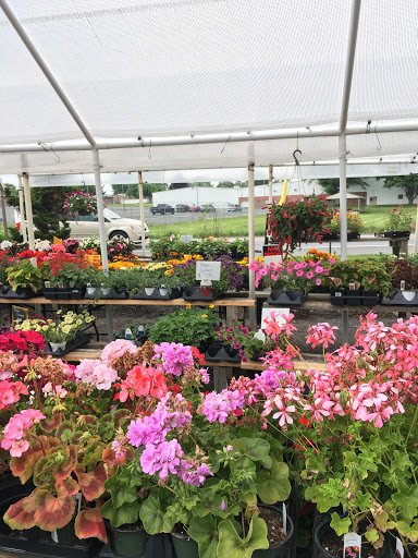 Florist «TG Designs», reviews and photos, 19231 Longmeadow Rd, Hagerstown, MD 21742, USA