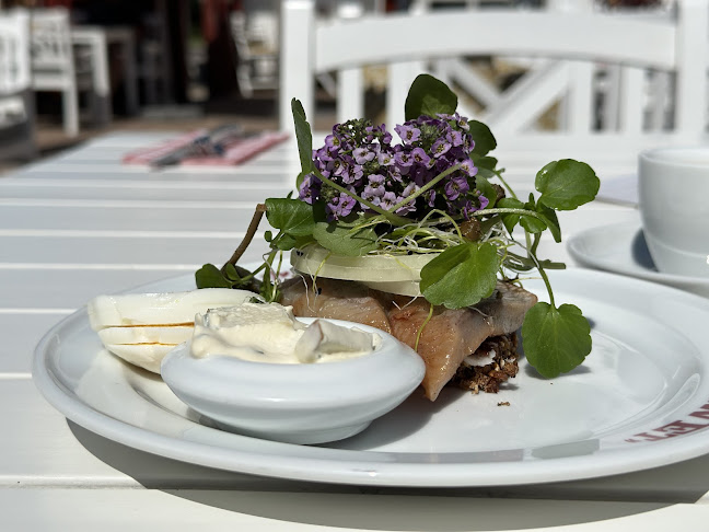 Hawet Blokhus - Brønderslev