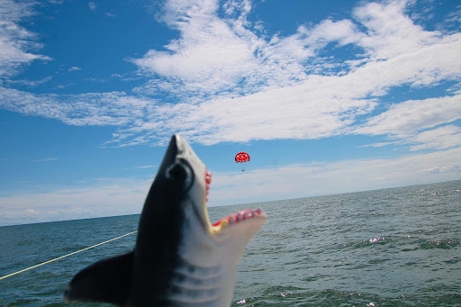  «Ocean City Parasail», reviews and photos, 232 Bay Ave, Ocean City, NJ 08226, USA