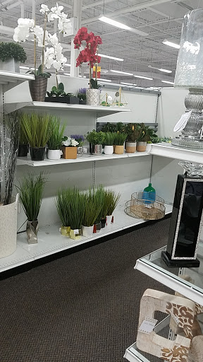 Clothing Store «Burlington Coat Factory», reviews and photos, 321 Speen St, Natick, MA 01760, USA