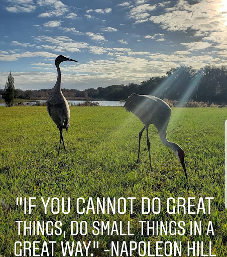 Dry Cleaner «Regal $2.50 Cleaners», reviews and photos, 3234 Florida Ave S, Lakeland, FL 33803, USA