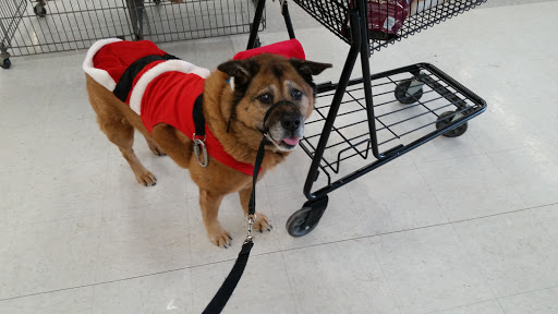 Pet Supply Store «Petco Animal Supplies», reviews and photos, G3559 Miller Rd, Flint, MI 48507, USA