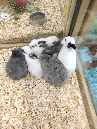 Pet Supply Store «Pet Supermarket», reviews and photos, 7805 Abercorn St, Savannah, GA 31406, USA