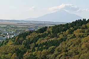 Toyotomi Natural Park image