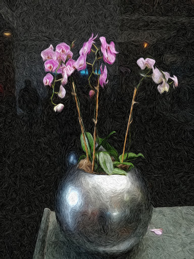 Hotel «Embassy Suites Chicago Downtown Magnificent Mile», reviews and photos, 511 N Columbus Dr, Chicago, IL 60611, USA