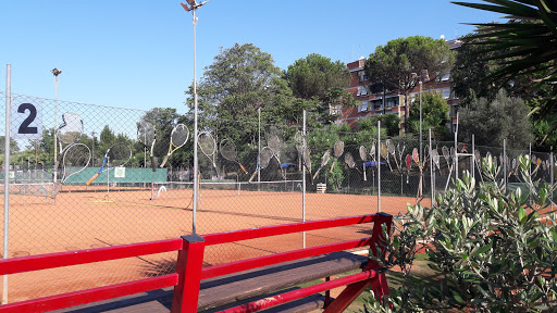 Tennis Sport Libero